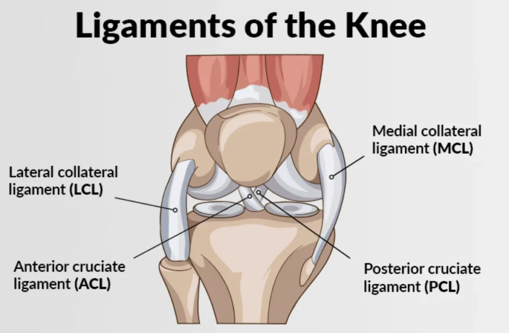 Knee Surgery Recovery Tips 1 Knee Surgery Recovery Tips