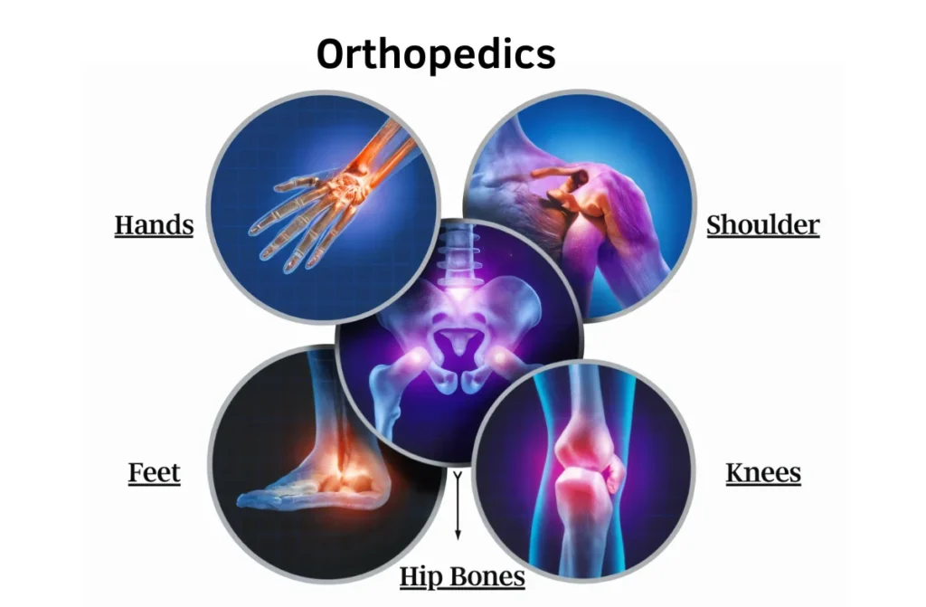 Best Orthopedic Surgeon in Chennai